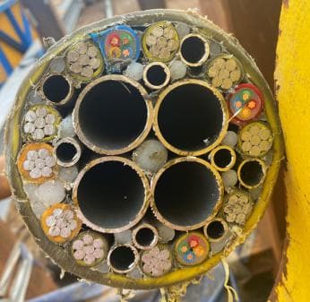 133mm Umbilical