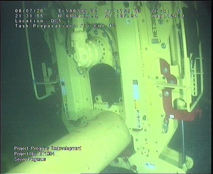 Shell Penguins Production Spool - image 1